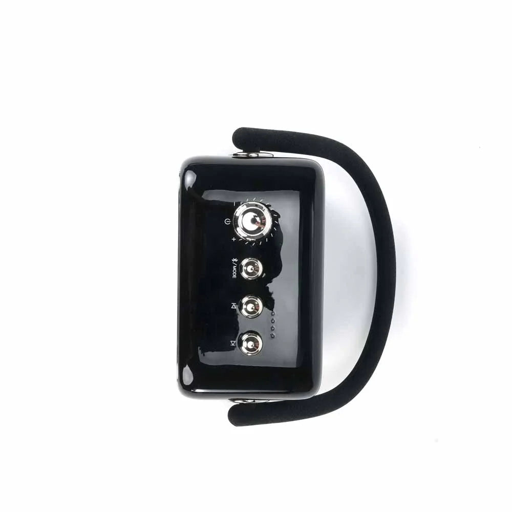 עם זוג מיקרופונים | SongBird SE רמקול נייד